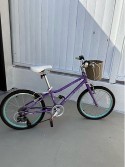 Guardian 20 Inch Large Bike kids purple