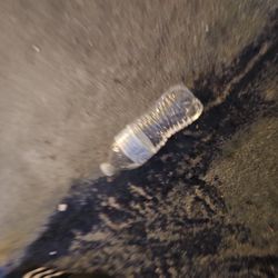 4 SEAWORLD TICKTS  125