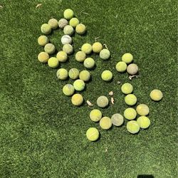 Free tennis balls for dogs or ??