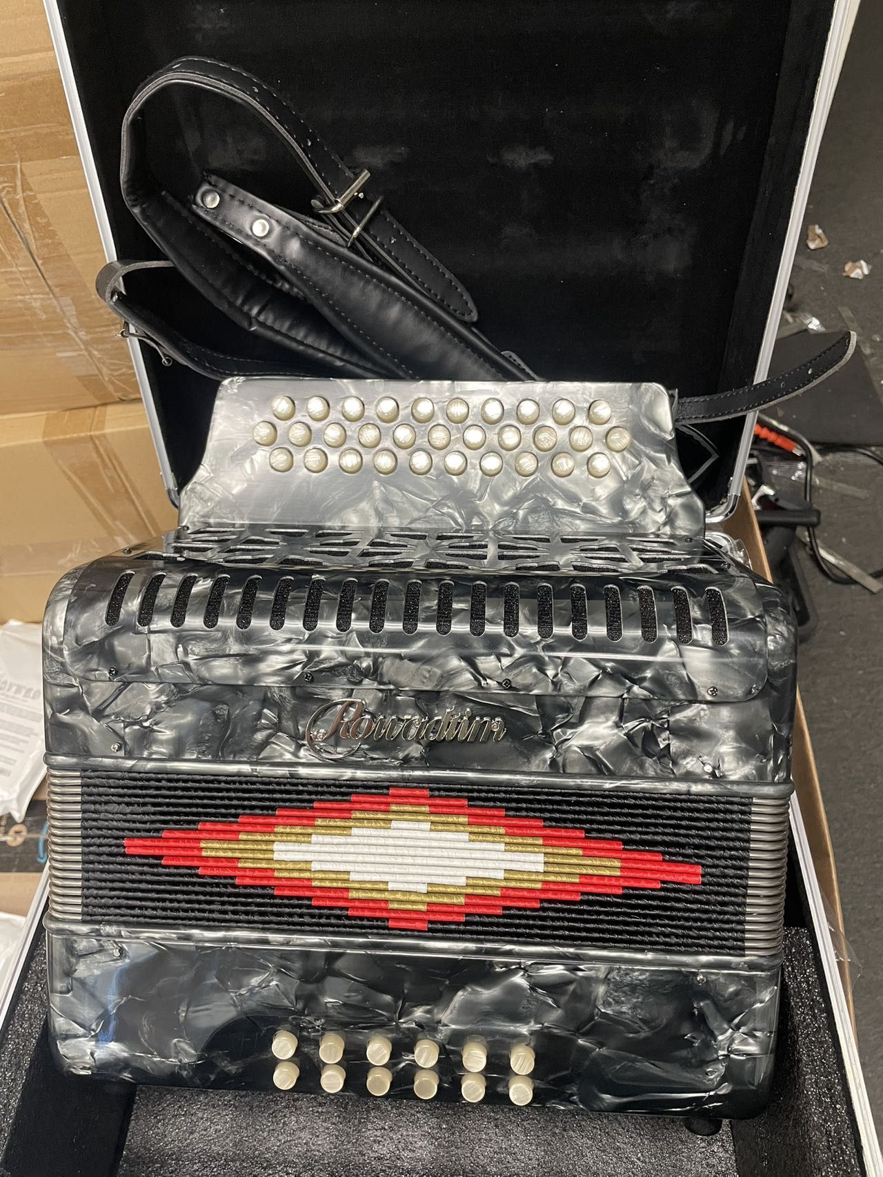 31-key 12-bass, Push-pull Accordion