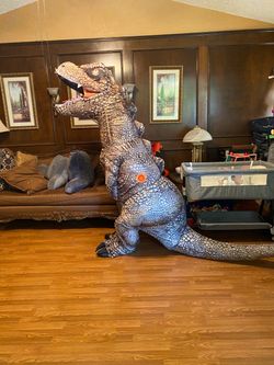 Adult costume