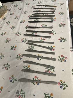 Stainless Steel Dinner Knives Set of 17 two for $1