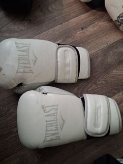 Boxing gloves Everlast 14oz