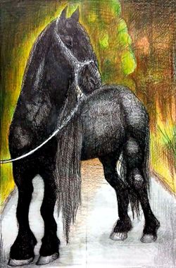 Horse Artwork