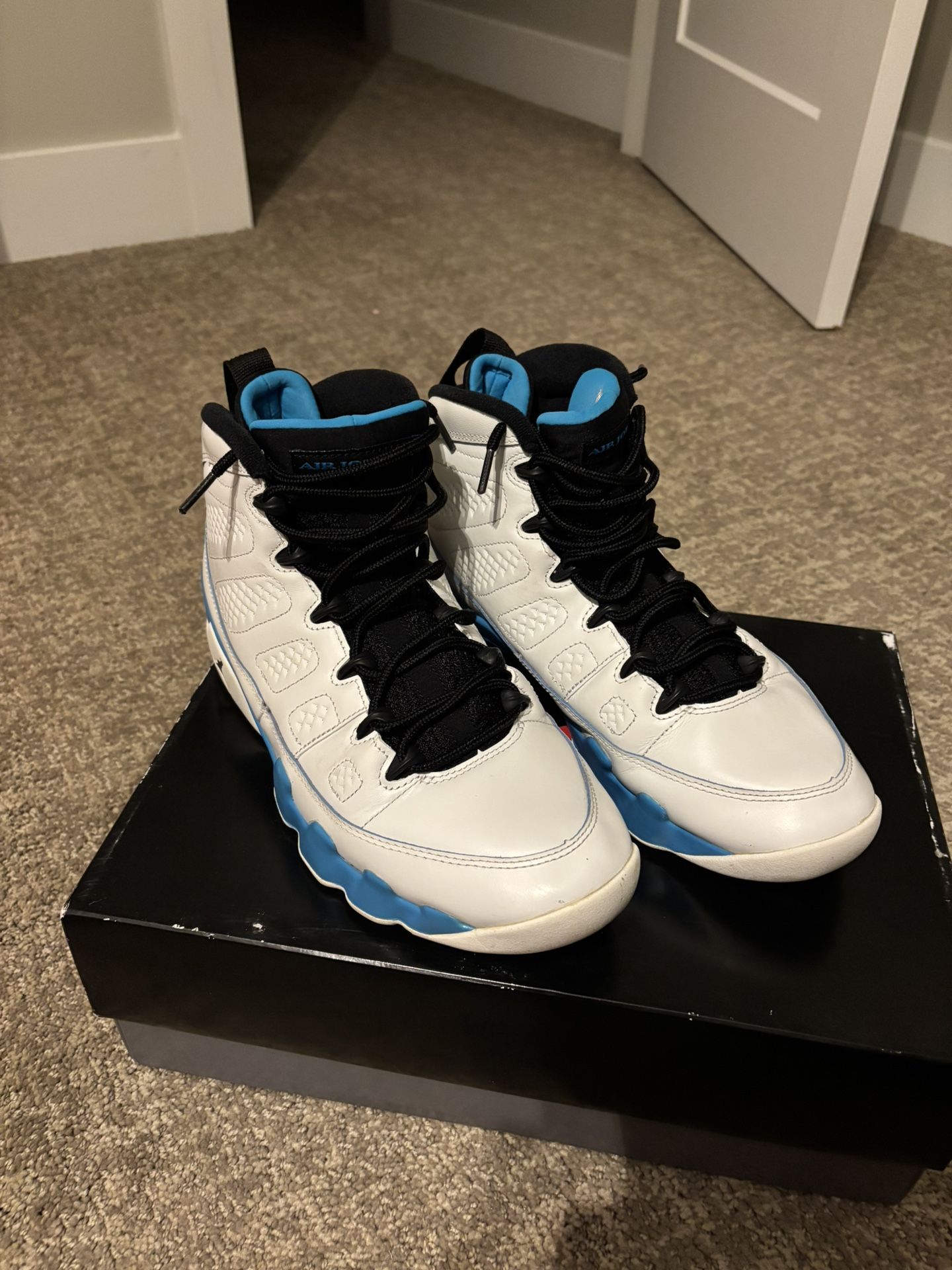 Jordan 9 Powder Blues Size 10