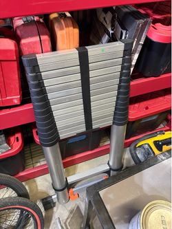 22” telescoping ladder