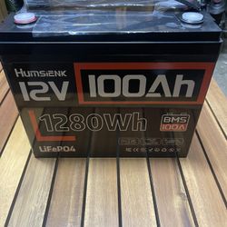 HumsiENK 12V 100Ah LiFePO4  Battery