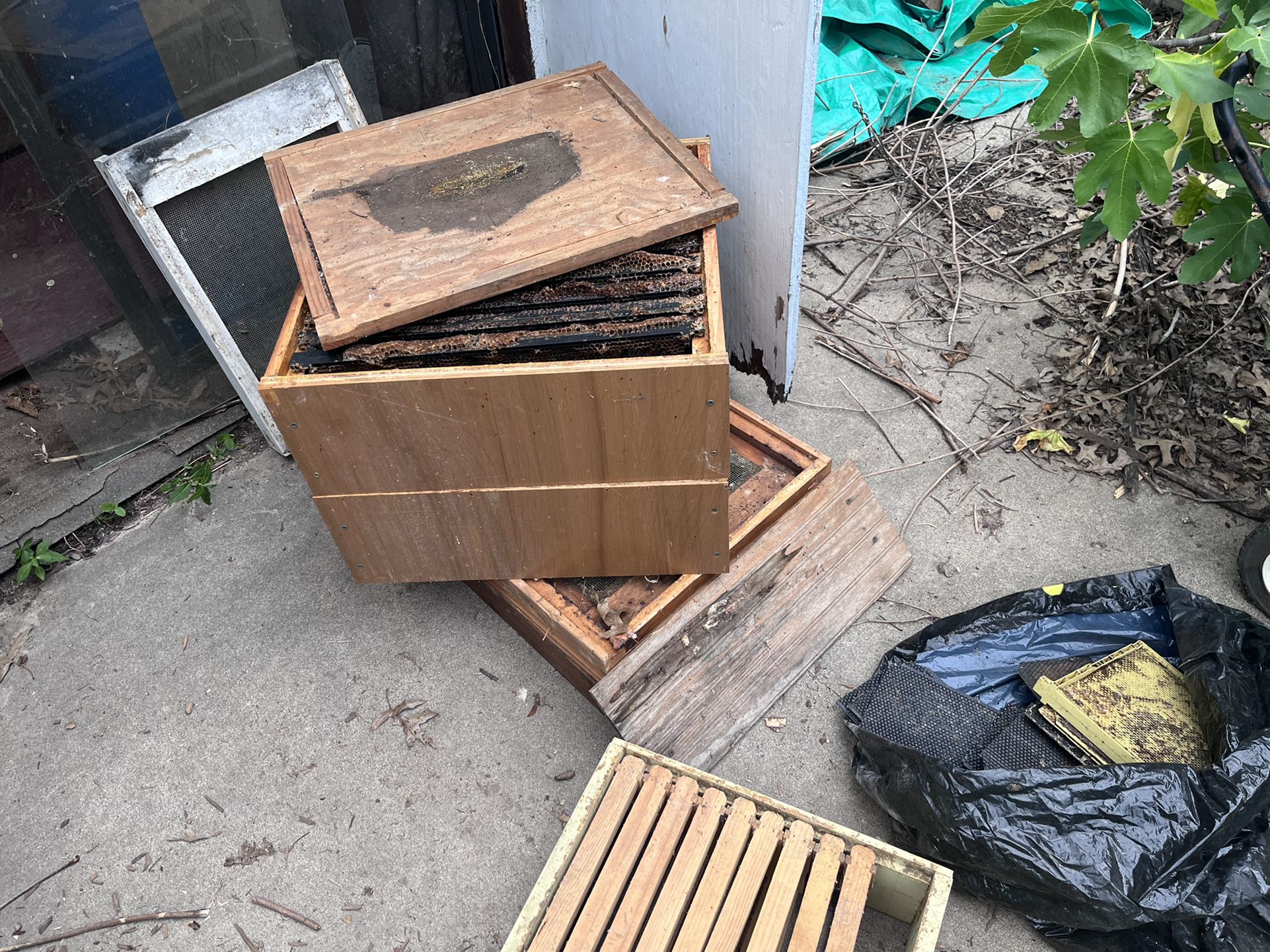 Bee Hives And Frames