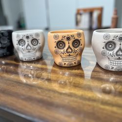 Decorative Small Plant Pot ($4 Each) Pickup Only