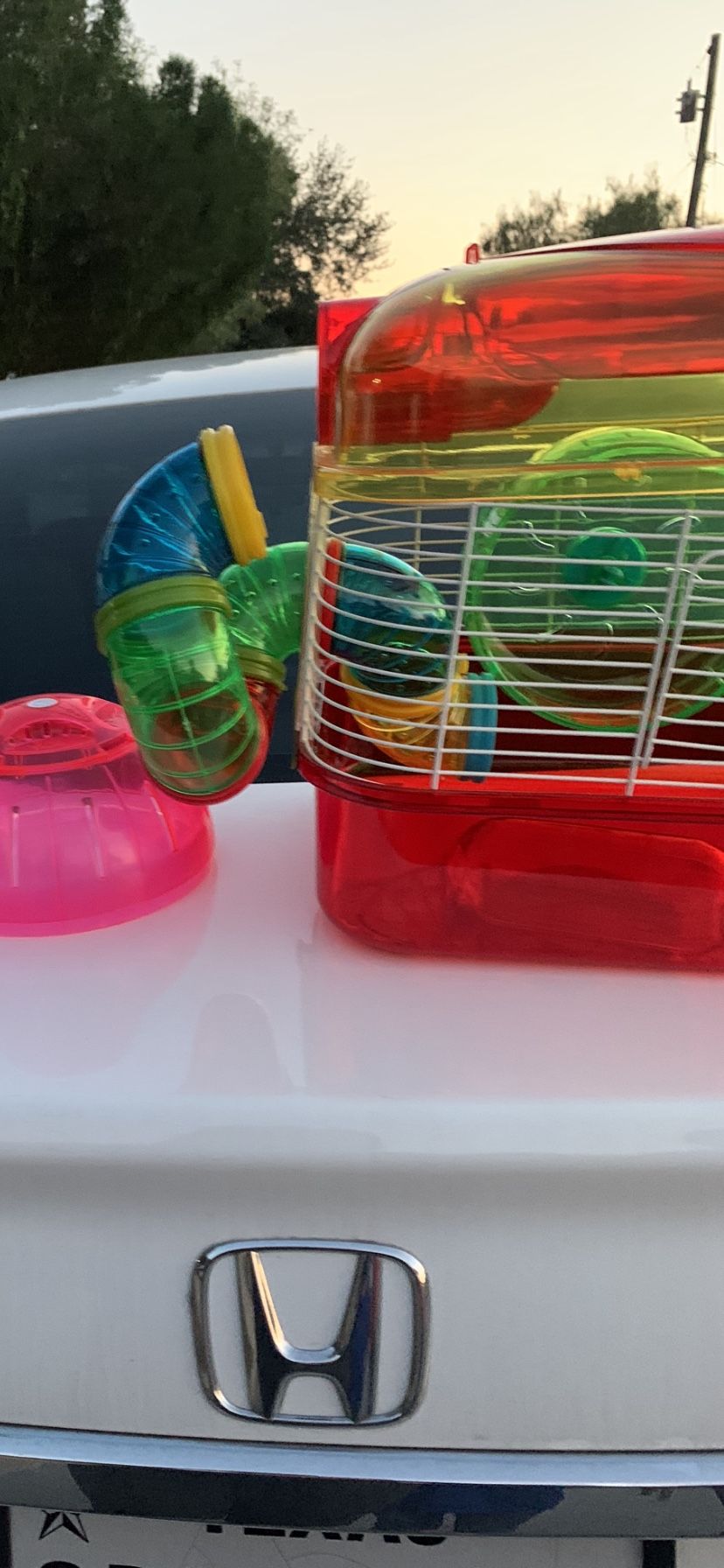 Hampster Cage