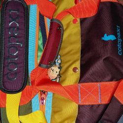 Cotopaxi Bag