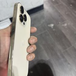 iPhone 14promax Gold