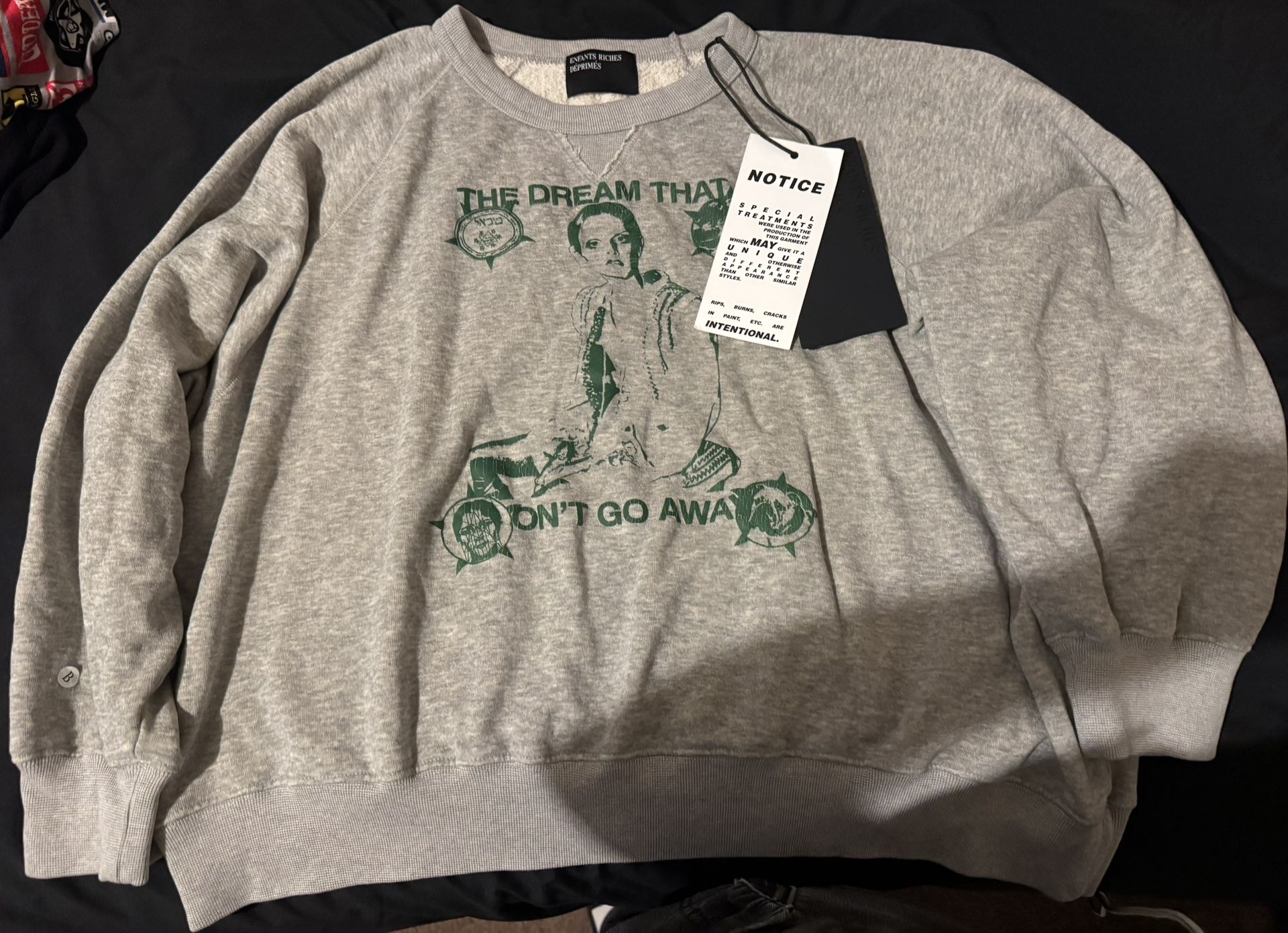 THE DREAM THAT WON'T GO AWAY RAGLAN SWEATSHIRT