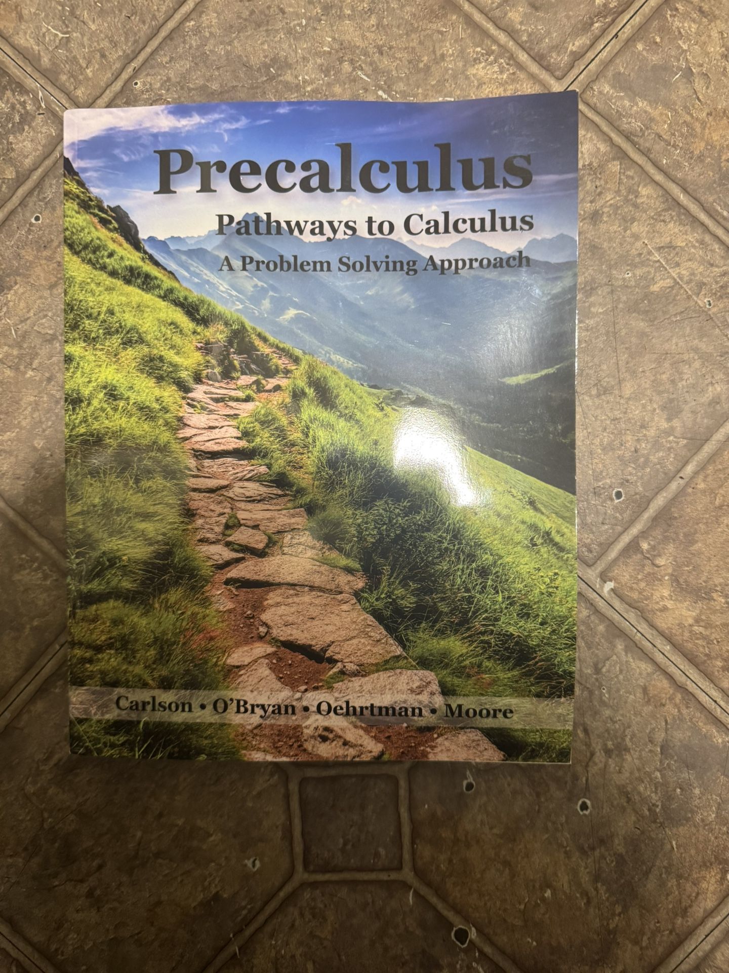 precalculus pathways to calculus, a problem solving approach 10th editionÂ
