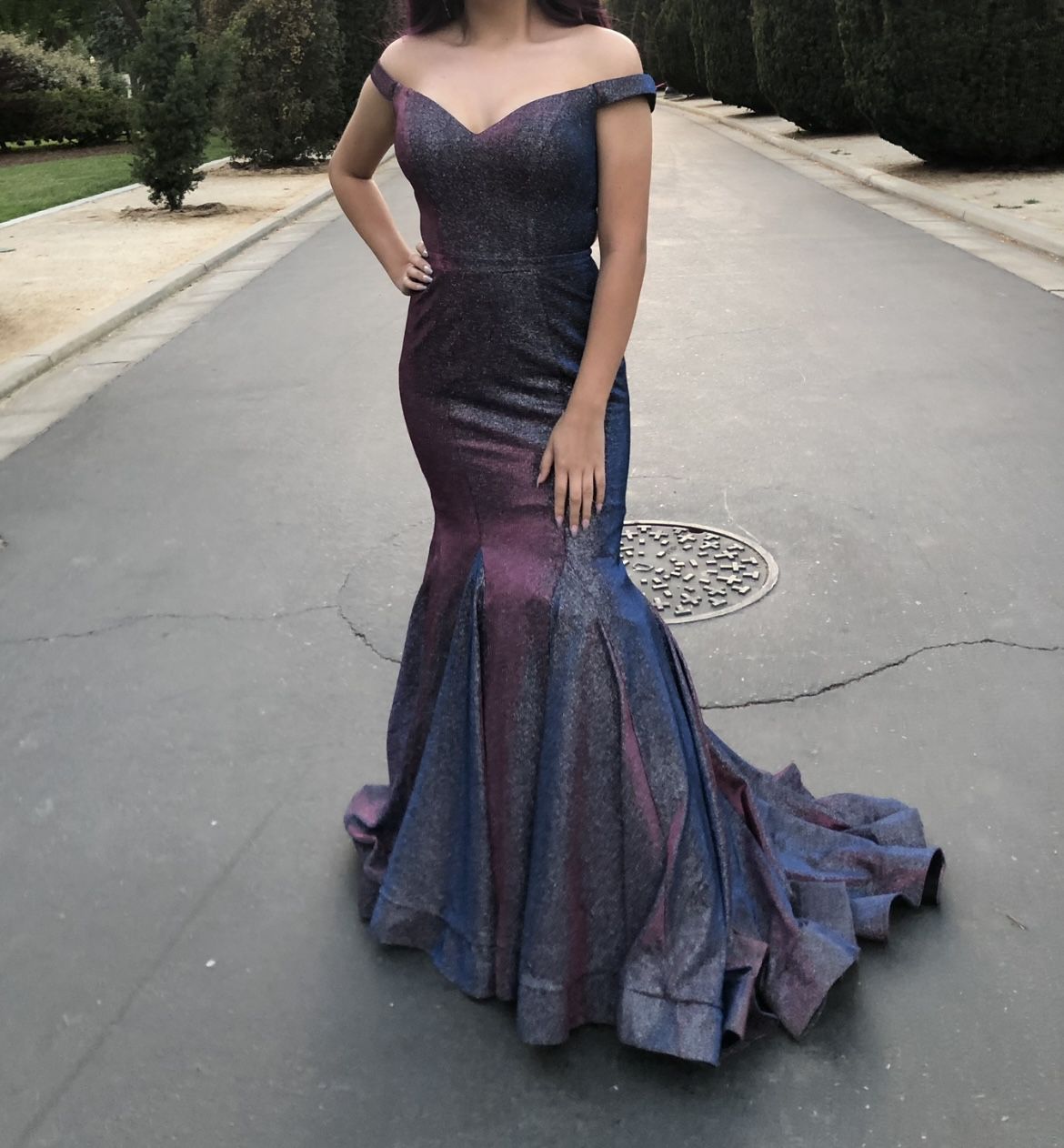 Camille Le Vie Prom Dress Mermaid Trumpet Dress