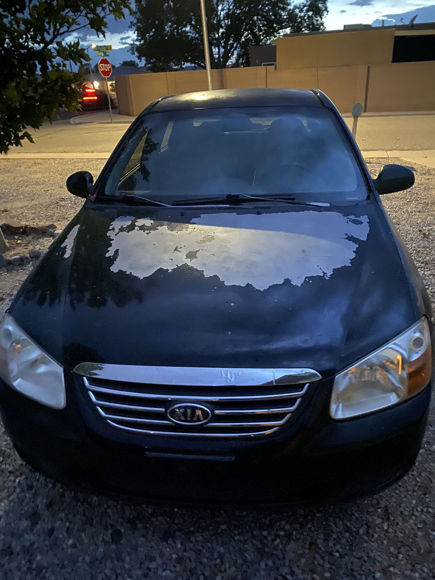 2008 Kia Spectra Car (gas saver) 