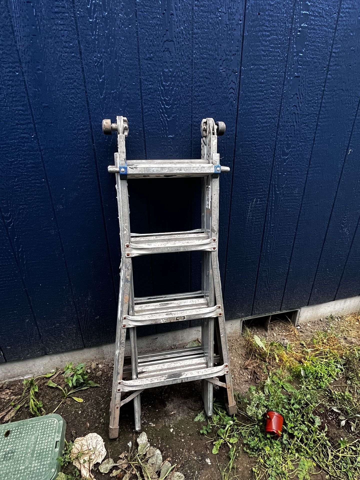 Little Giant Ladder