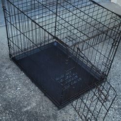 Dog Cage for Small Dog  - Only $15