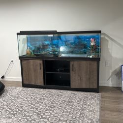 125 gallon fish tank