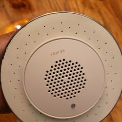 Kohler Shower Speaker Head