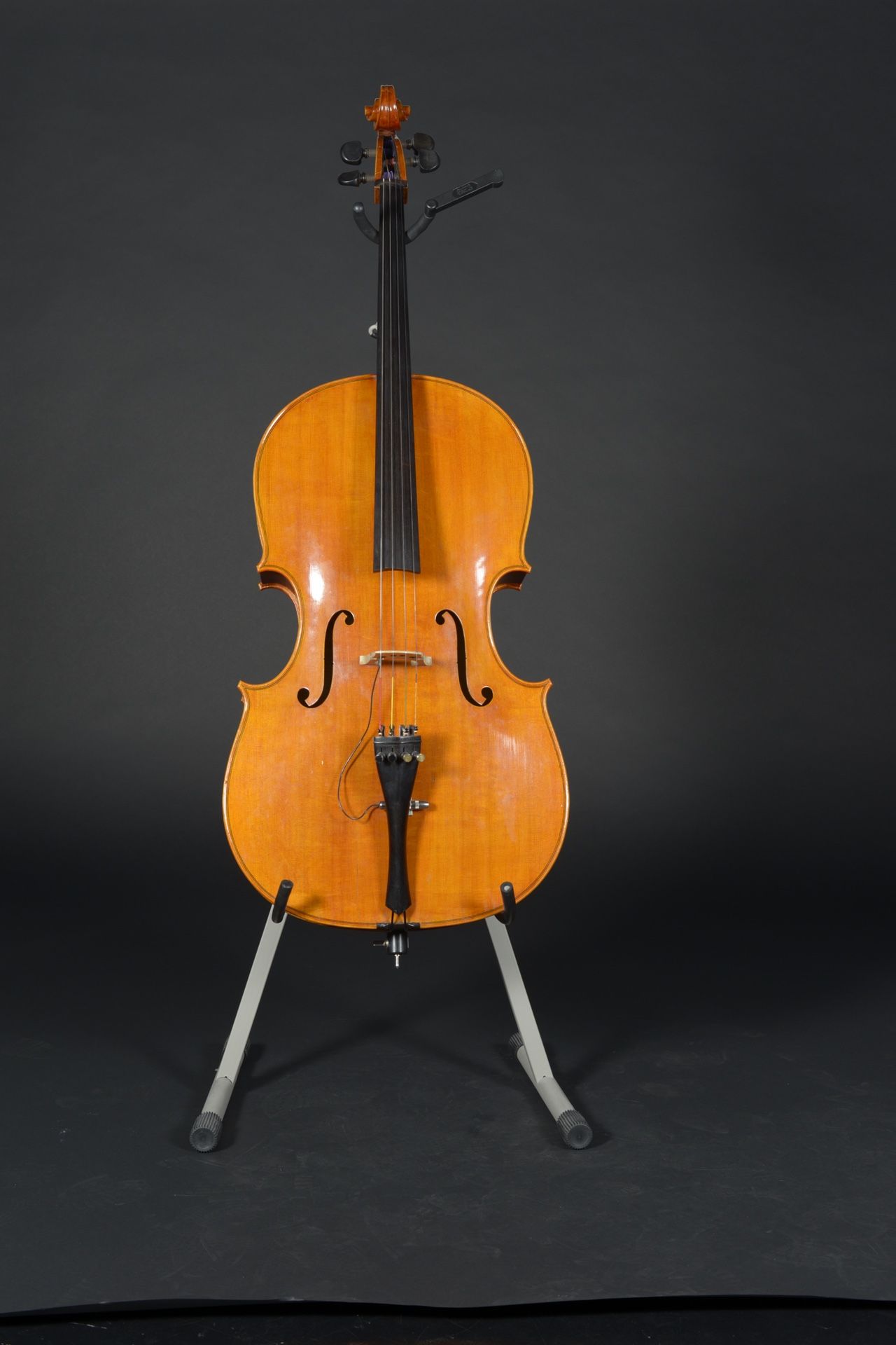 Montagnana Style 4/4 Cello w/Case