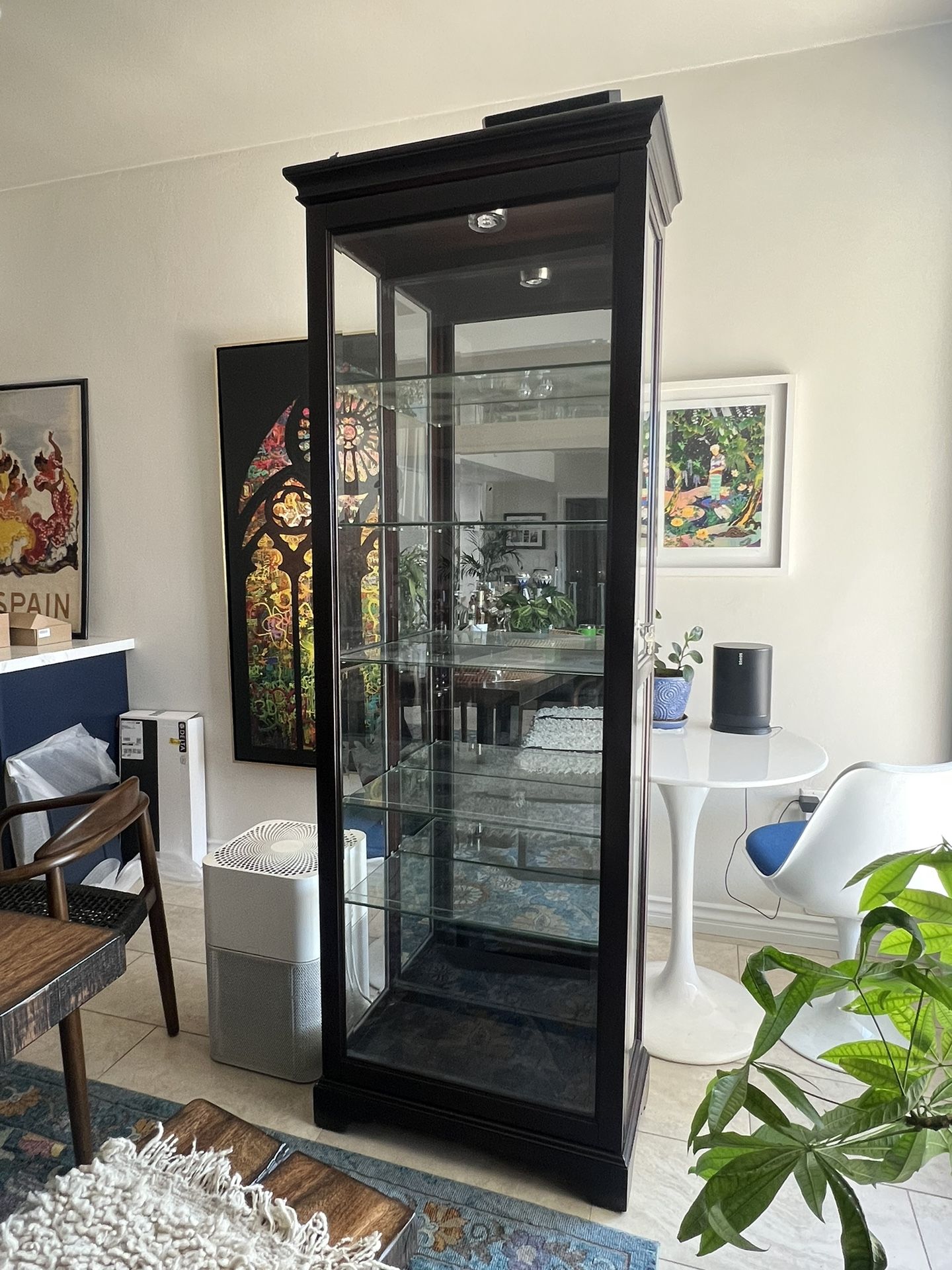 Curio Cabinet - Costco - Glass Display Case