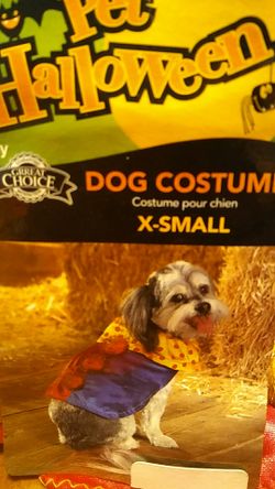 Halloween Dog Costume