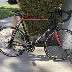 Offer up road bike new arrivals