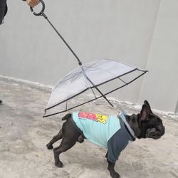Dog Umbrella with Leash, Pet Umbrella for Dogs Adjustable Handle Dog Umbrella for Small Pets, Adjustable Rope Leash