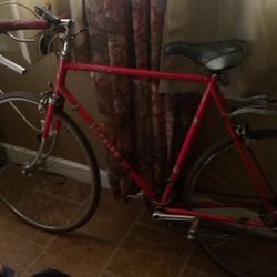 Bicycleta