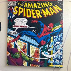 Spider Man Marvel Wall Art Poster