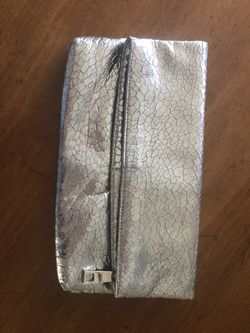 Silver Clutch/bag