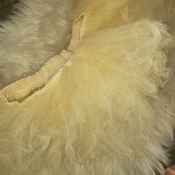 Mini Tutu Skirt Adult Cream Color Size Small Medium Party Pride . 