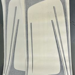 Dodge Charger ProMoterStripes vinyl accent Stripes