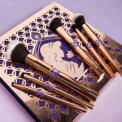 Princess Jazmine brush set
