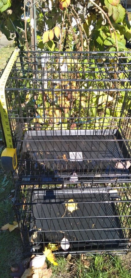 Dog Crates 40 Each or BO