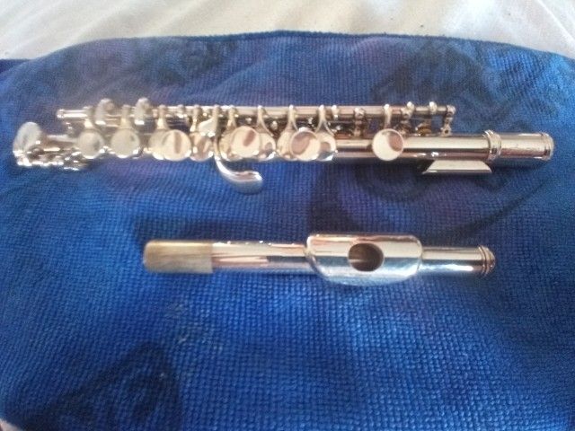 Piccolo Armstrong 204 Student Model