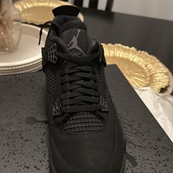 Air Jordan Black Cat 4s