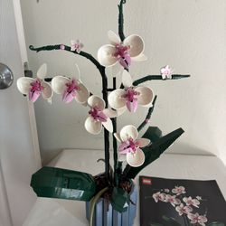 Lego 10311 Botanical Garden Orchid 908pcs: 100% Complete with Box