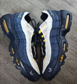 Nike Air Max 95 SB 11.5