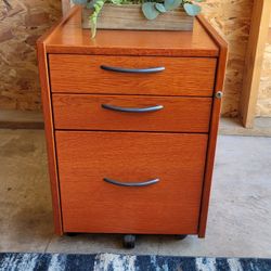 Beautiful ORGANIZER/ FILE CABINET