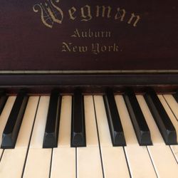 Wegman Auburn New York Grand Piano