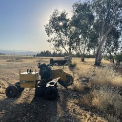 Stump Grinding 