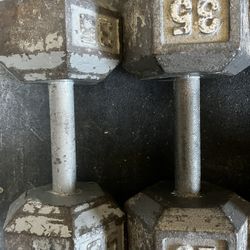 35lb Dumbbells 