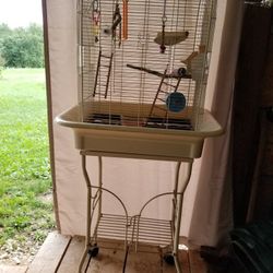 Bird Cage