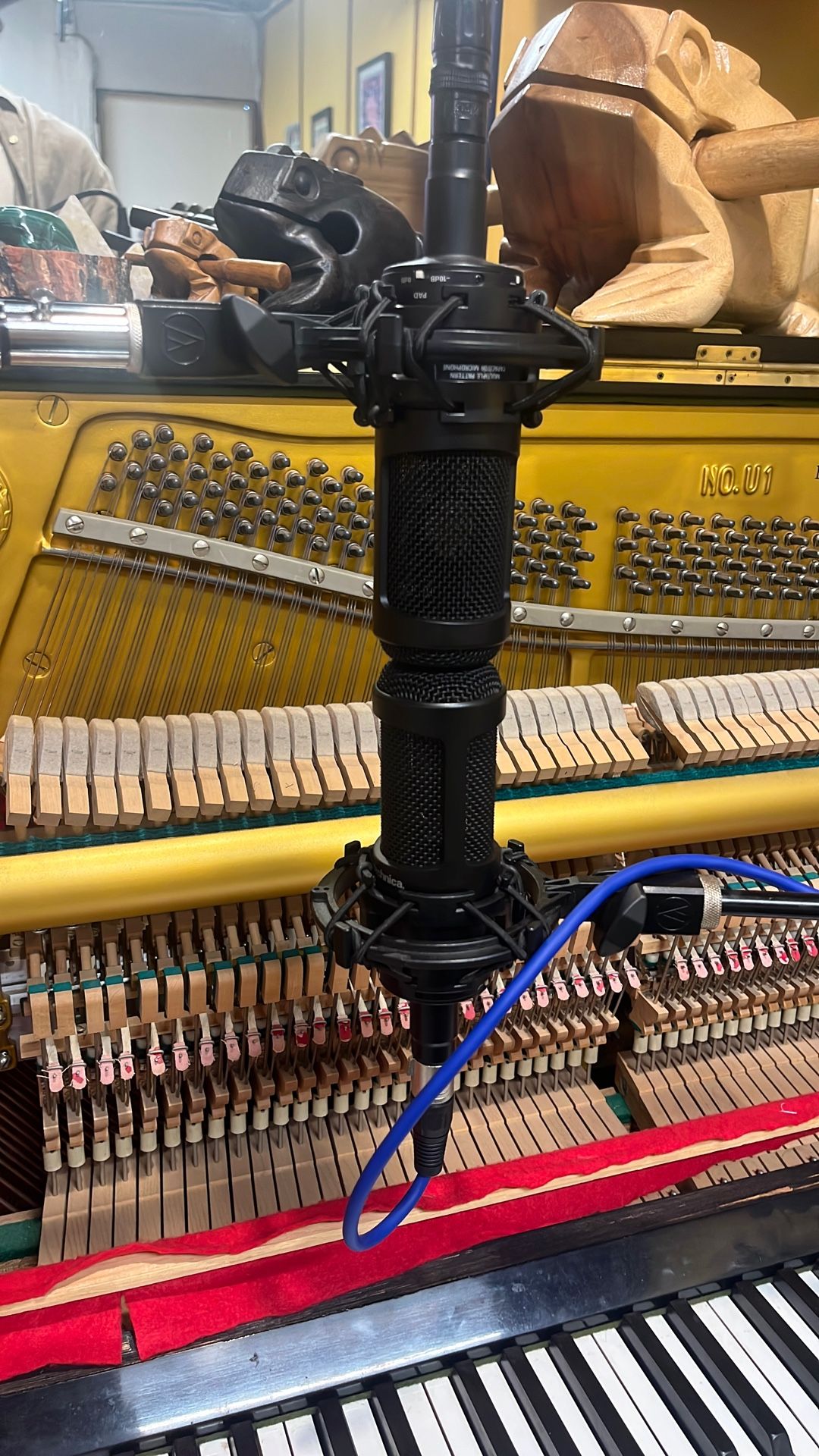 Audio Technica AT2050