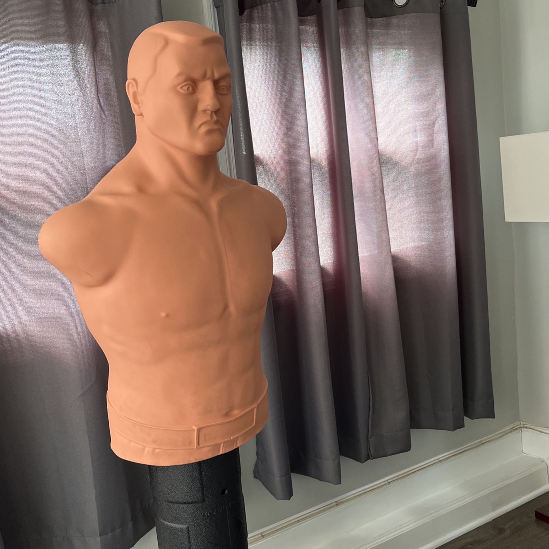 Century Bob Punching Bag