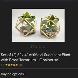 Artificial Succulents In Brass Terrannium