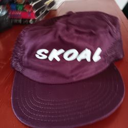 Vintage Skoal Hat 