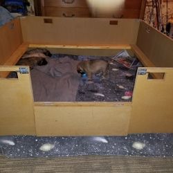 Dog Welping Pen for sale only 